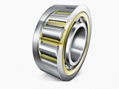 Single Row Cylindrical Roller Bearings (without outer ring or inner ring)