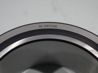 Spherical Double Row Full Complement Rolle Bearings(floating type)