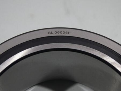 Spherical Double Row Full Complement Rolle Bearings(floating type)